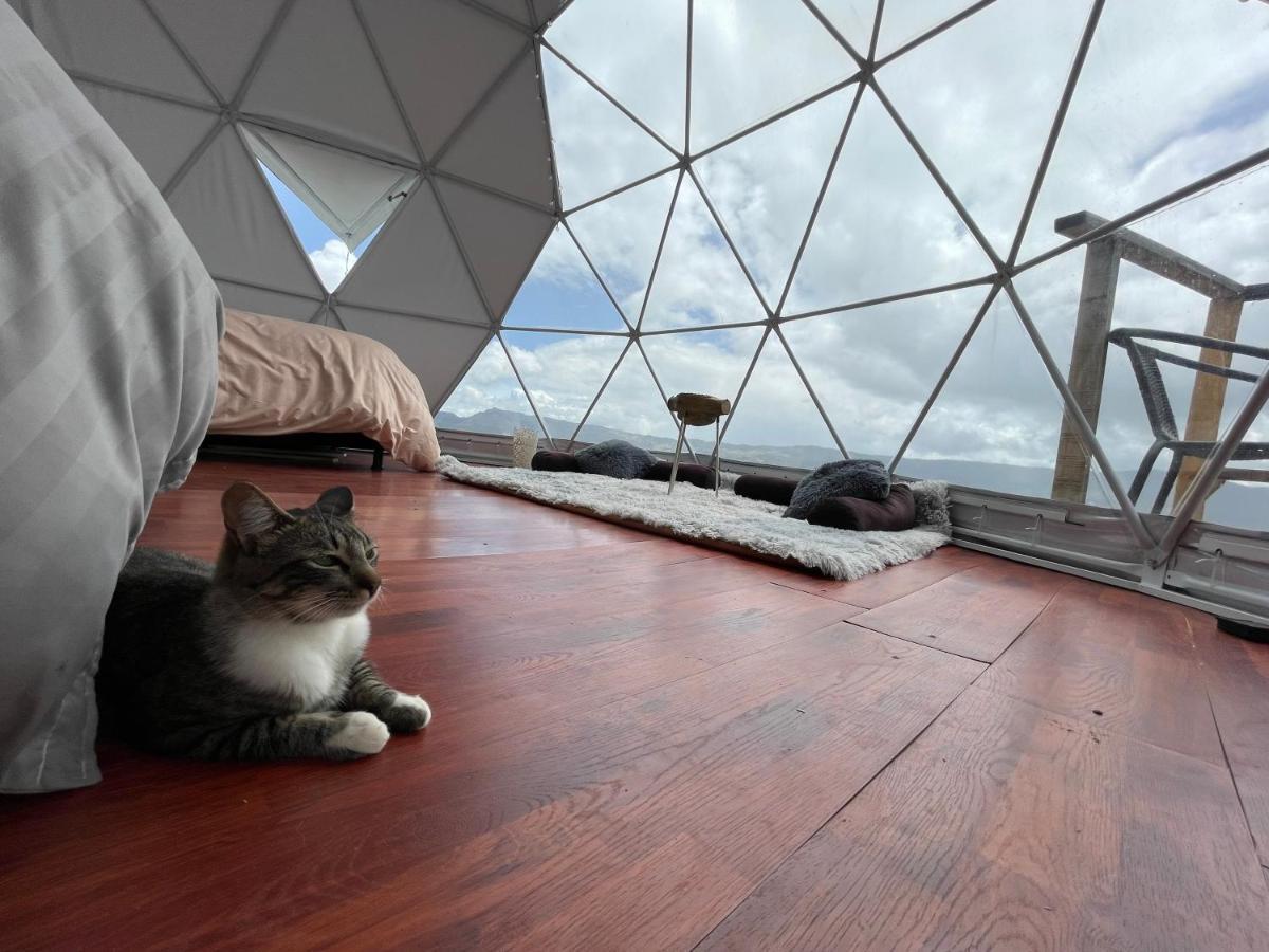 Glamping Wayra Villa Guatavita Eksteriør bilde